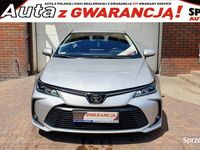 Obraz 1
