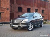 używany Mercedes ML350 ML 350 Blutec SALON PL OD NOWOŚCI W RODZINIEBlutec SALON PL OD NOWOŚCI W RODZINIE