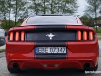 używany Ford Mustang 