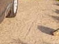 używany Renault Scénic III 1.5 DCI Limited stan idealny