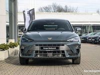 Nowe Cupra Leon 2026 Niebieski Hatchback
