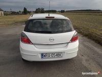 Obraz 3