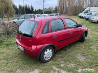 Obraz 3
