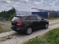 Obraz 3