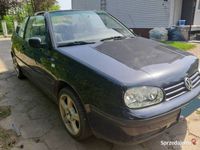 Obraz 3