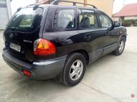 Obraz 3