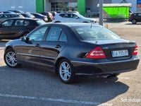 Obraz 2