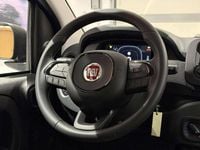 używany Fiat Panda MY25 Pandina Icon 1.0 70 KM