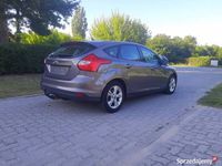 Używany Ford Focus 2011 Beżowy Hatchback