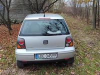 Obraz 2