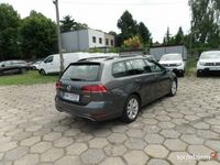 używany VW Golf VII Golf1.5 TSI BMT Comfortline…