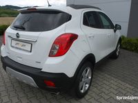 Obraz 3