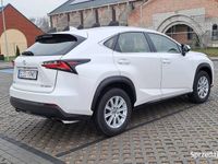 używany Lexus NX200t z 2015 roku.