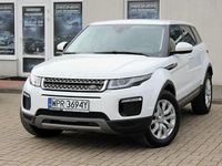 Używany Land Rover Range Rover evoque 150 KM (110 kW) 2018 Biały SUV