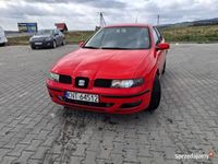 Obraz 3