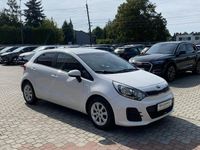 Obraz 3