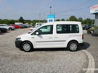 używany VW Caddy Caddy F-Vat,osobowy,drzwi-przesuwne,gwarancja,...F-Vat,osobowy,drzwi-przesuwne,gwarancja,...