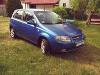 Obraz 1