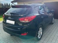 Obraz 1