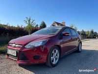 Używany Ford Focus 2013 Hatchback