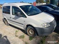 Obraz 3