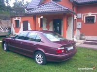 Obraz 1
