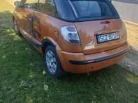 Obraz 1
