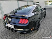używany Ford Mustang GT 5.0 2019 rok