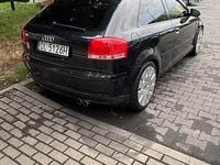 Obraz 3