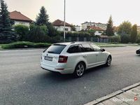 Obraz 3