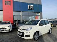 Nowe Fiat Panda Icon 70 KM (51 kW) 2025 Lakier pastelowy biały gelato Hatchback