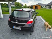 Obraz 3