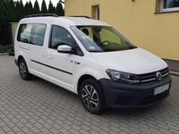 Obraz 1