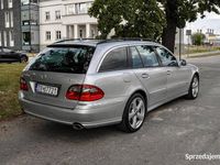Obraz 3
