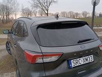 Obraz 3