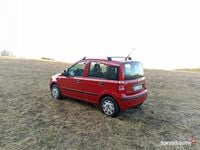 Używany Fiat Panda 2011 Czerwony Hatchback