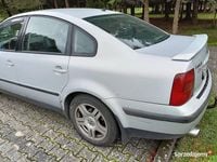 Obraz 3