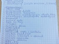 używany Opel Astra Astra Model 2019 Salon Polska start-stopModel 2019 Salon Polska start-stop