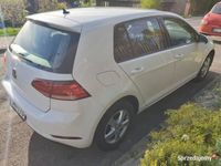 używany VW Golf VII 1.0TSI Trendline zadbany 18'