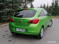 Używany Opel Corsa 2015 Zielony Hatchback
