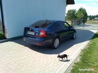 Obraz 3