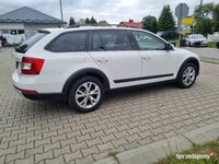 używany Skoda Octavia