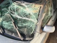 Używany Mazda 2 2004 Hatchback