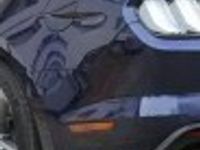 Obraz 3