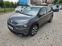 Obraz 1
