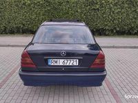 Obraz 3