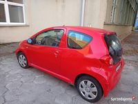 Obraz 1
