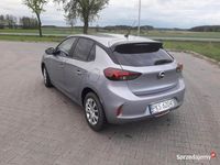 Obraz 3