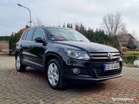 używany VW Tiguan BENZYNA XENON NAVI ALCANTARA PARKTRONIC KAMERA ALU