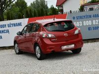 Obraz 3